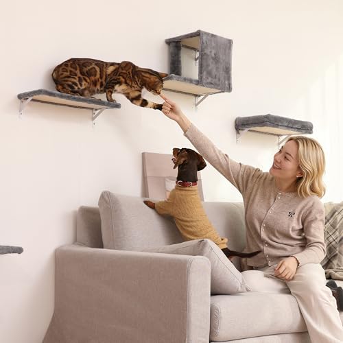 Cat Wall Shelves (Light Gray)