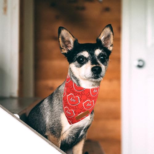 Valentine's Day Dog Bandanas 2 Pack (Red / Small)