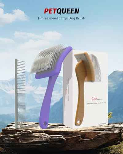 Large Dog Brush (L / Purple)