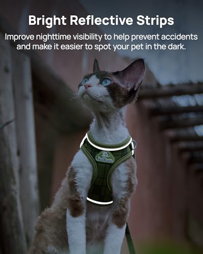 Upgraded Cat Harness and Leash Set (Green Growling Crocodile / S)