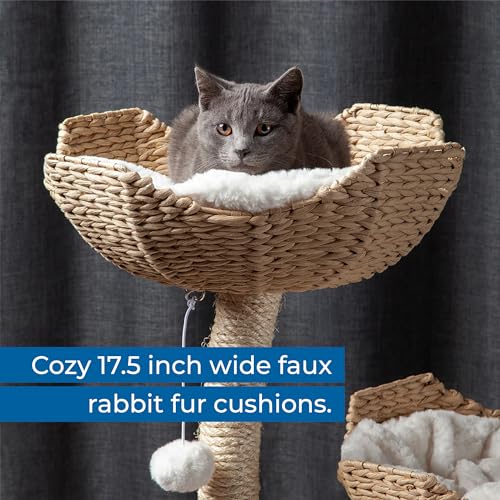 The Sanctuary Cat Tree (The Sanctuary)