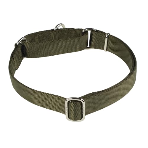 Martingale Dog Collars for Medium Dogs (Medium / Army Green)