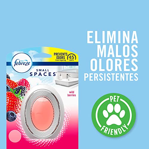 Small Spaces Air Freshener (1 Count (Pack of 1))