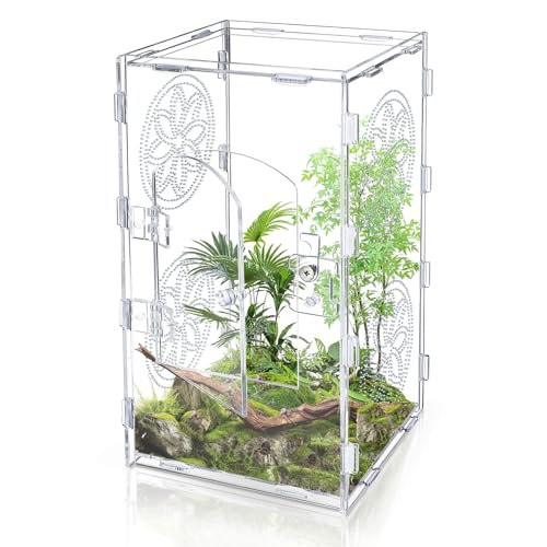 Large Jumping Spider Enclosure (transparent / 11.8*6)