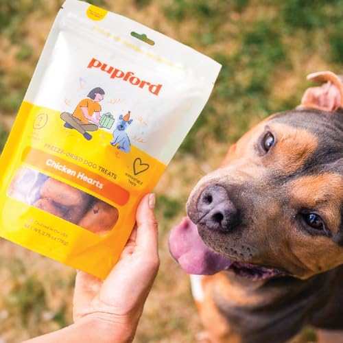 Freeze Dried Chicken Heart Treats for Dogs & Puppies (2.75 Ounce (Pack of 1))