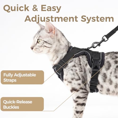 Cat Harness and Leash Set (Black / Medium)