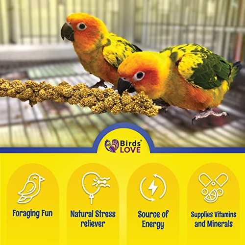 25lbs Economy & Special Spray Millet for Birds (25 Pound (Pack of 1))