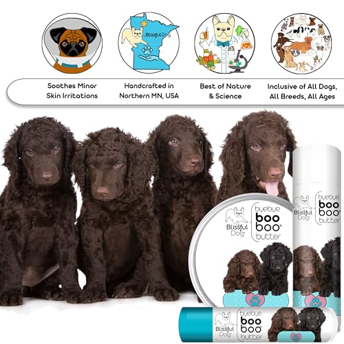 Curly Coat Retriever Boo Boo Butter (2 Ounce / Curly Coat Retriever)