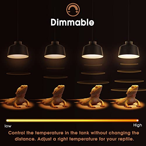 Reptile Heat Bulb (Warm Bulb 75w / 2 Pack)