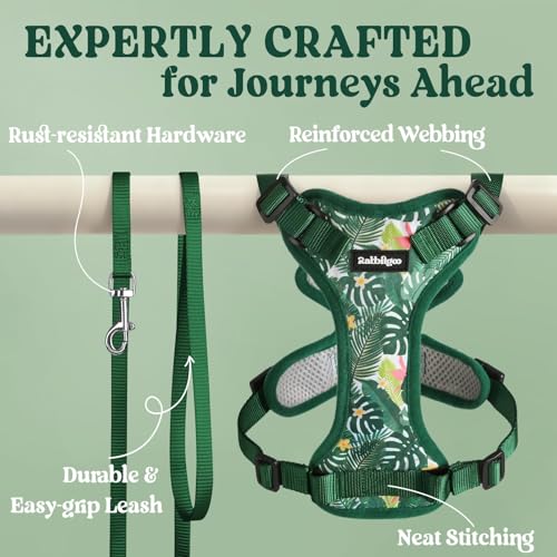 Cat Harness and Leash Set (Xxs / Rainforest Green)