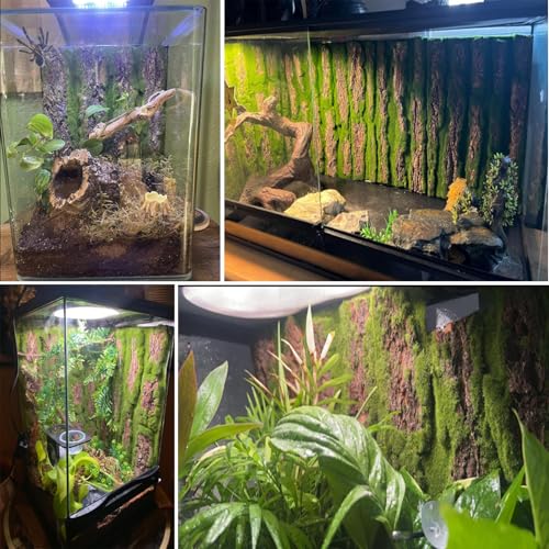 Reptile Terrarium Cork Background