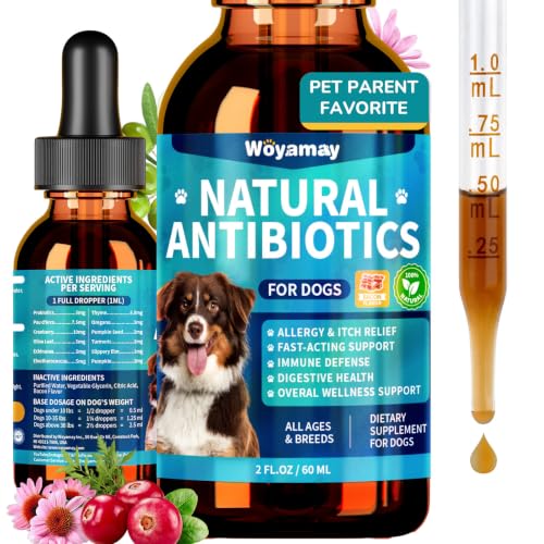 Antibiotics for Dogs (1 Pack)