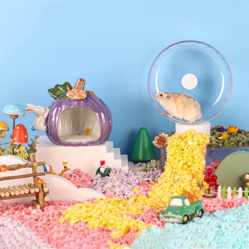 Hamster Wheel Silent (5.5inch)