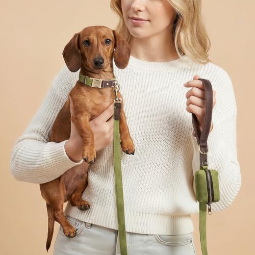 PU Leather Dog Collar for Small Dogs Puppy (Olive Green / S: Neck 11-15", Width ⅝")