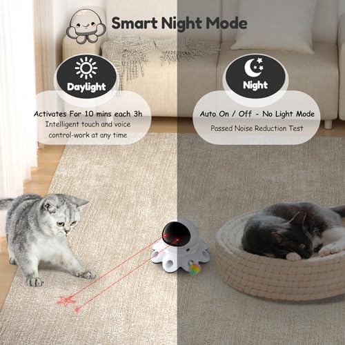 Cat Laser Toy (Cool Black*1)