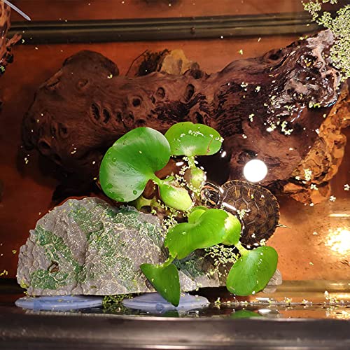 Turtle Basking Platform with Suction Cup Tortoise Climbing Rest Terrace Resin Step Decoration Reptile Habitat Rock Decor for Frogs (Slope)