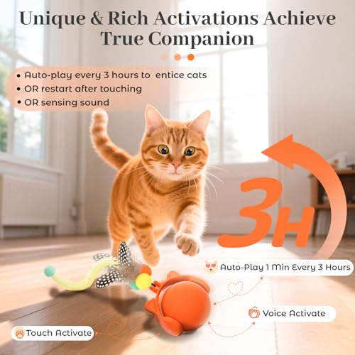 Cat Toys for Indoor Cats (Orange)