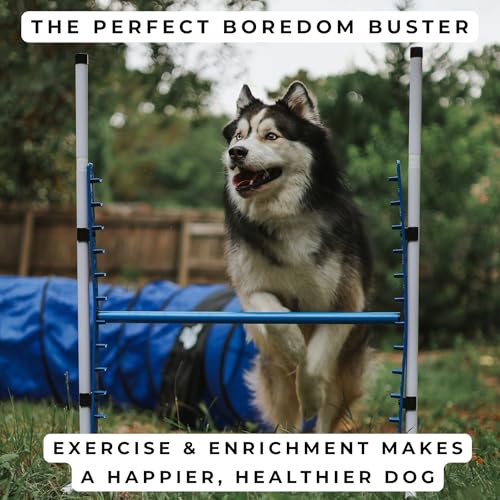 4 Pack Adjustable Dog Agility Bar Jumps w