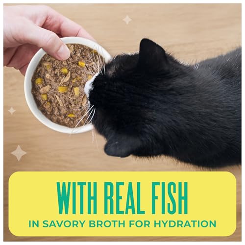 Tiki Cat Wet Cat Food Mega Pack (6.3 Pound (Pack of 1))