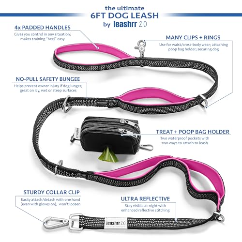 Heavy Duty Dog Leash for Large Dogs (Purple - Blue)