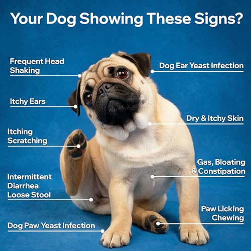 Dog Probiotics For Gut Health