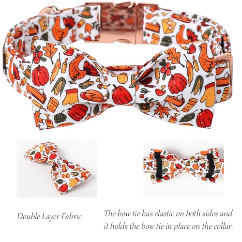 Thanksgiving Dog Collar (Medium (Pack of 1) / Harvest Autumn)