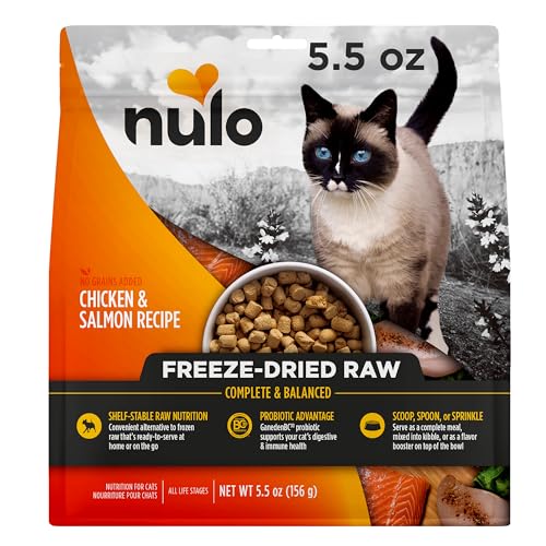 Freestyle Freeze (5.5 Ounce (Pack of 1))
