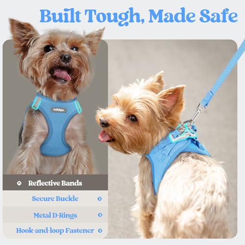 Dog Harness Medium Sized and Leash Set (Blue / Xxl (chest: 21.6 - 23.7"))