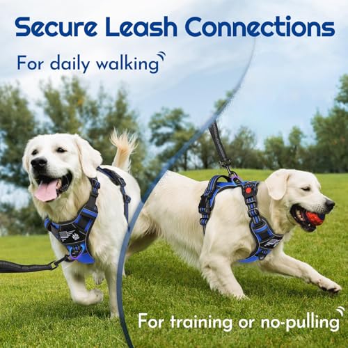 Dog Harness No Pull for Large Dogs (X-Large / Blue & Black)