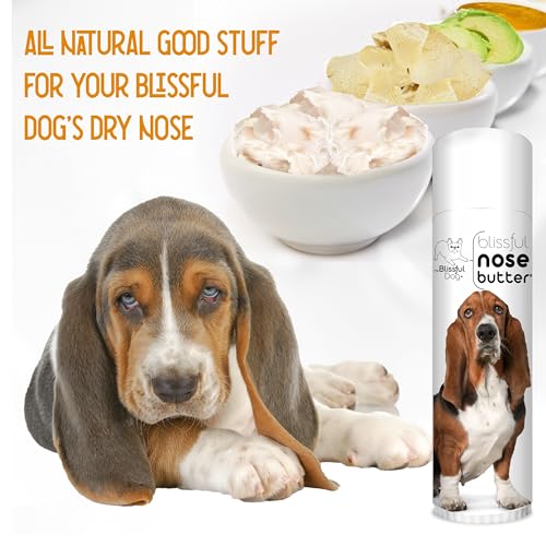 Basset Hound Nose Butter for Dry (Basset Hound / 0.50 Ounce)