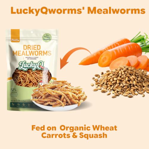 1lbs Dried Mealworms for Chickens Duck High Protein Birds Treat (1 Pound (Pack of 1))