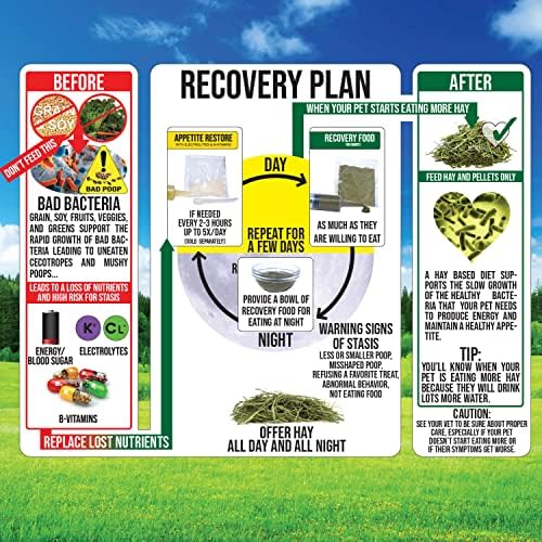 Rabbit Emergency kit and Bulk Recovery Food (6.35 Ounce (Pack of 1))