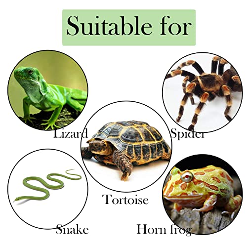 Resin Turtle Basking Platform (10.6 x6.5 x3.7 in / 27 x16. 5 x9. 4 cm.)