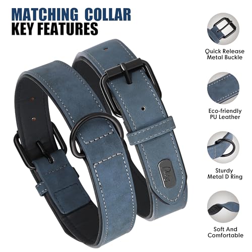 PU Leather Dog Collar and Leash Set (XL: Neck 17-23", Width 1¼" / Blue Set)