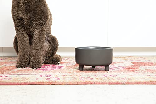 Uplift Ceramic Dog Bowl for Small Medium and Large Breeds (Large / Black)