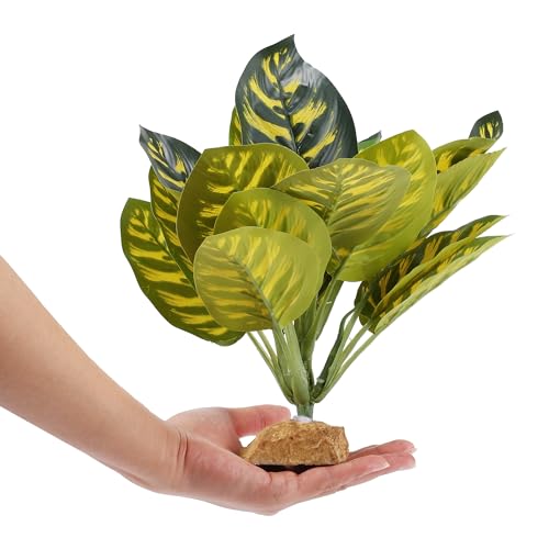 Reptile Plants Decoration