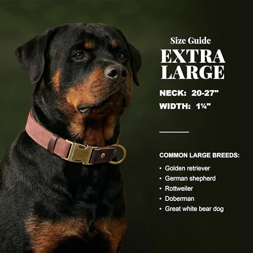 PU Leather Dog Collar for Large Dogs (Pink / XL: Neck 20-27", Width 1¼")