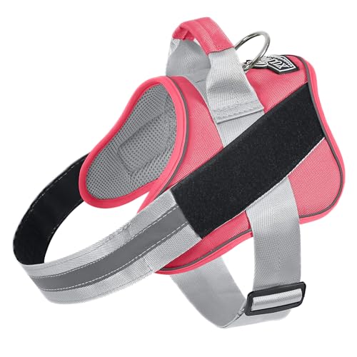 Dog Harness No (Large (Pack of 1) / Camellia)