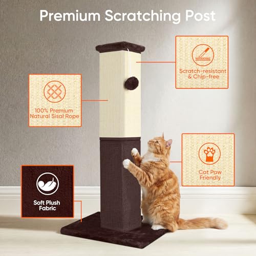 Cat Scratching Post for Indoor Cat (brown)