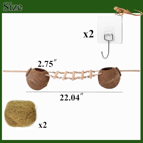 Gecko Tank Accessories