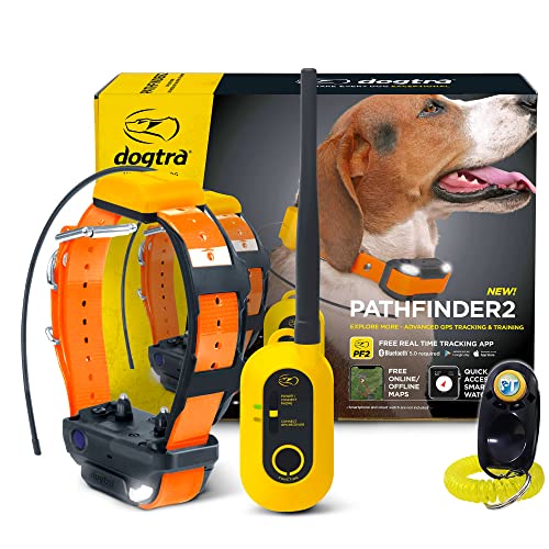 Pathfinder 2 Hunting Ecollar GPS Dog Training Collar with Remote (Path 2 - 1 Dog)
