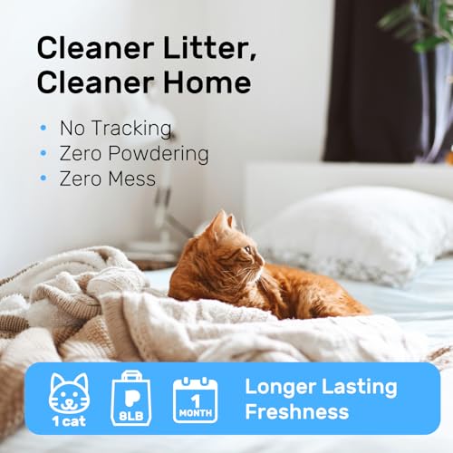 EcoFusion Cat Litter 3 Pack (3-pack)