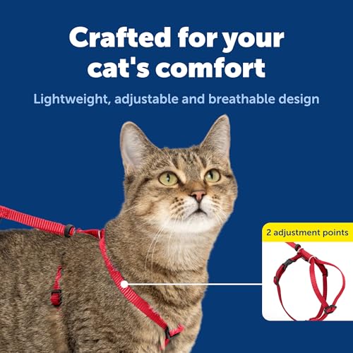 Come With Me Kitty Harness and Bungee Leash (Small (Pack of 1) / Red)