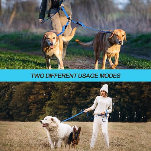 Double Dog Leash (Light Blue)