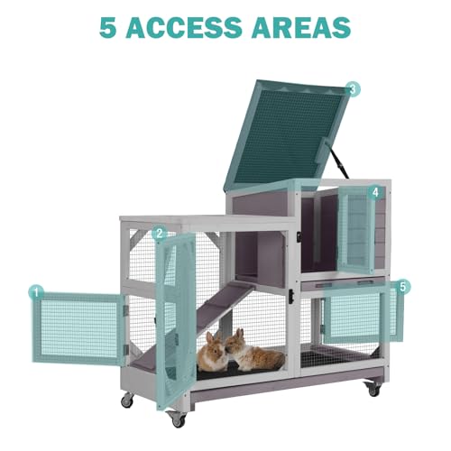 Rabbit Hutch Indoor for 2
