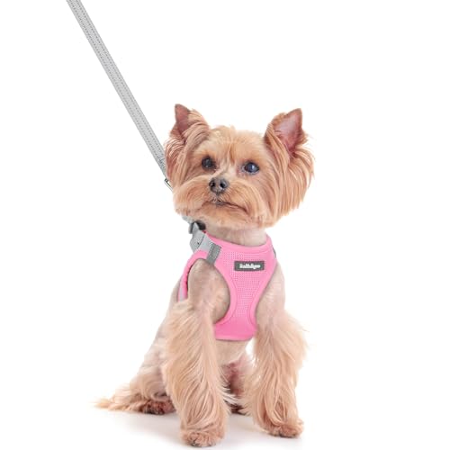 Dog Harness Small Sized and Leash Set (Light Pink & Gray / Xxs (chest: 12.4 - 14.2"))