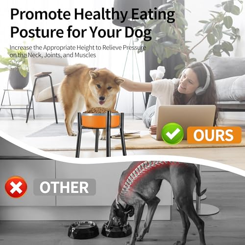 Lifted Dog Bowl Stand (Large-HIGH-12IN)