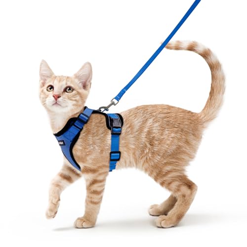 Cat Harness and Leash Set (Xs / Navy Blue)