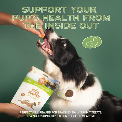 Healthy Soft Dog Treats (5 Ounce (Pack of 3))