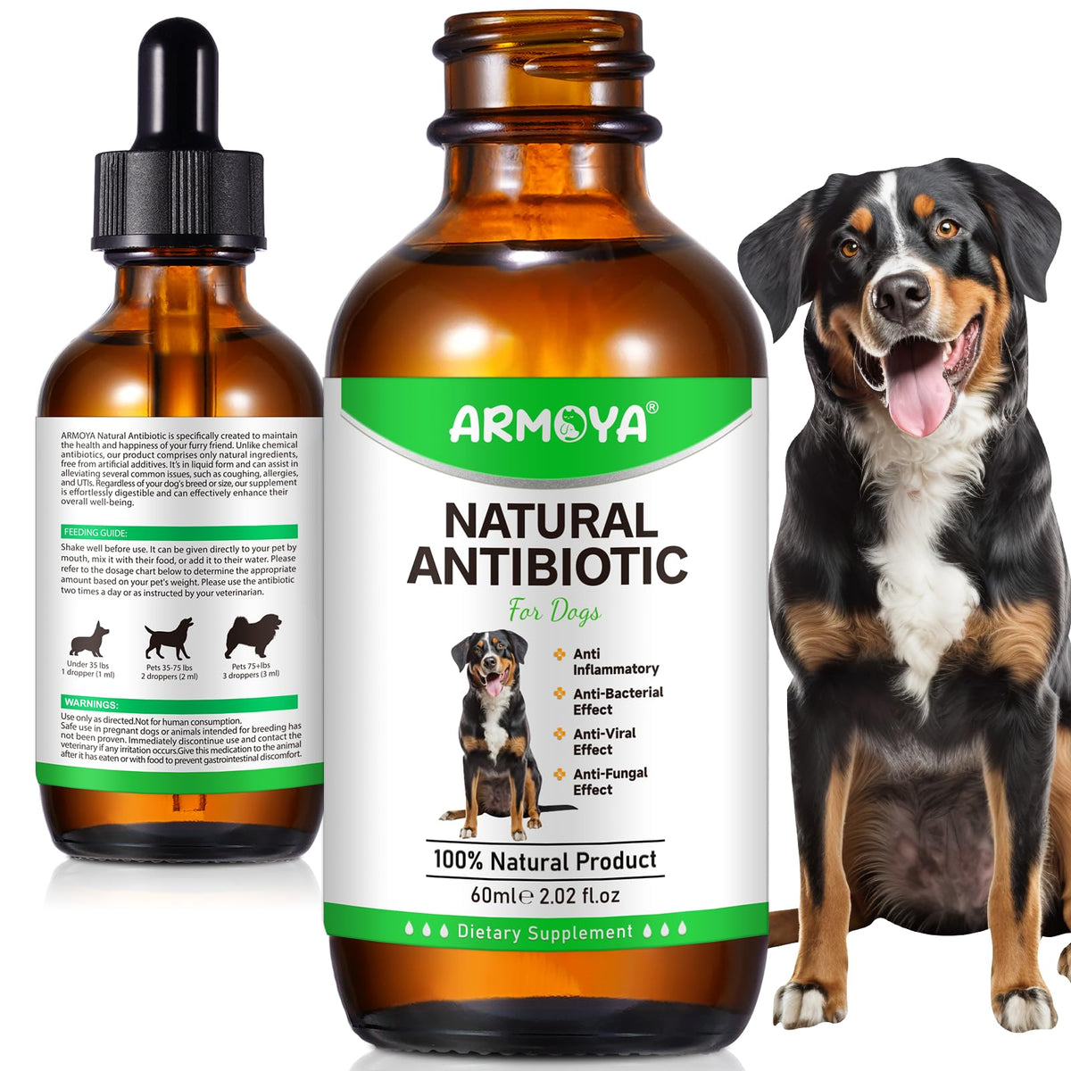 Natural Antibiotics for Dogs